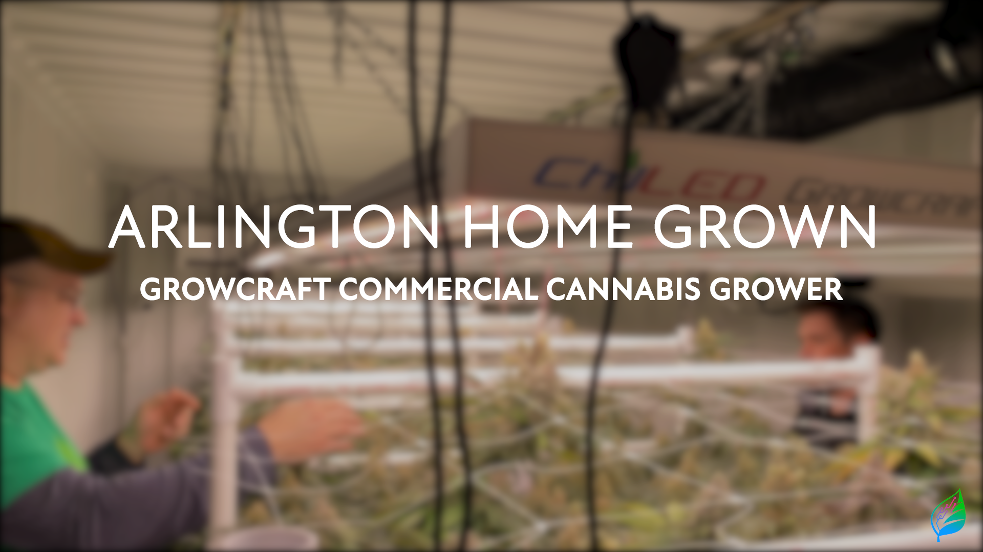 Arlington Home Grown with ChilLED Growcraft