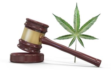 A Decade Into Legal Cannabis, What Now?